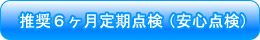 推奨6ヶ月定期点検(安心点検)